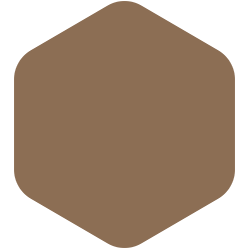 Caravel Brown  PPG1079-6